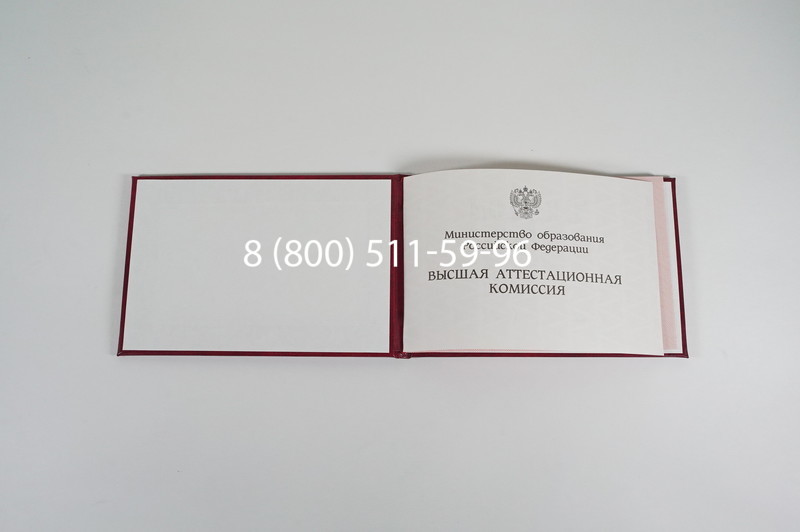 Диплом доктора наук 1995-2006 года в Коврове Диплом доктора наук 1995-2006 года в Коврове