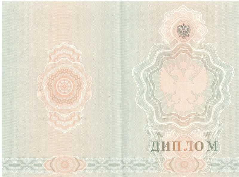 Купить Диплом о начальном образовании 2007-2009 годов в Коврове Купить Диплом о начальном образовании 2007-2009 годов в Коврове